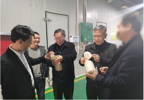 合作邁出堅(jiān)實(shí)一步！集團(tuán)推進(jìn)3家優(yōu)質(zhì)投資選址企業(yè)精準(zhǔn)對(duì)接地方政府