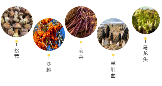 【甘南政府招商推介】立足生態(tài)優(yōu)勢，推動綠色發(fā)展，打造青藏高原上的生態(tài)文明高地