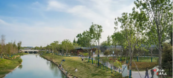集團全力助推河南開封順河回族區(qū)委托招商引資，突出特色優(yōu)勢，強化精準賦能，提升經濟活力