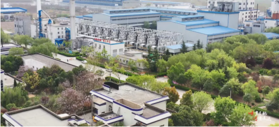 集團全力助推河南開封順河回族區(qū)委托招商引資，突出特色優(yōu)勢，強化精準賦能，提升經濟活力