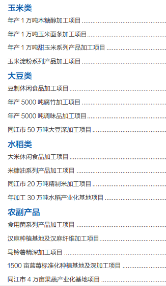 集團全力助推黑龍江省同江市委托招商引資，充分挖掘開發(fā)潛能，再次綻放邊陲魅力